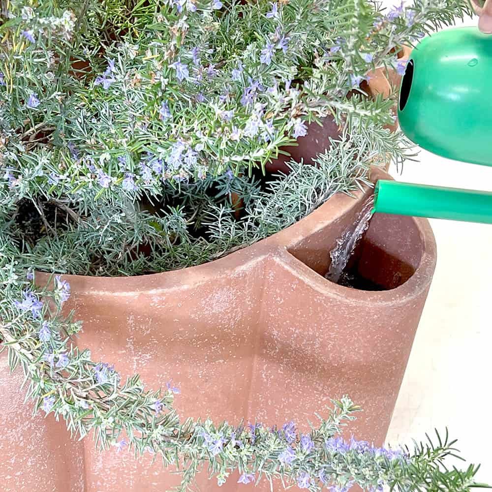 Designový květináč YDRA FIORE Grande - Obrázek 4